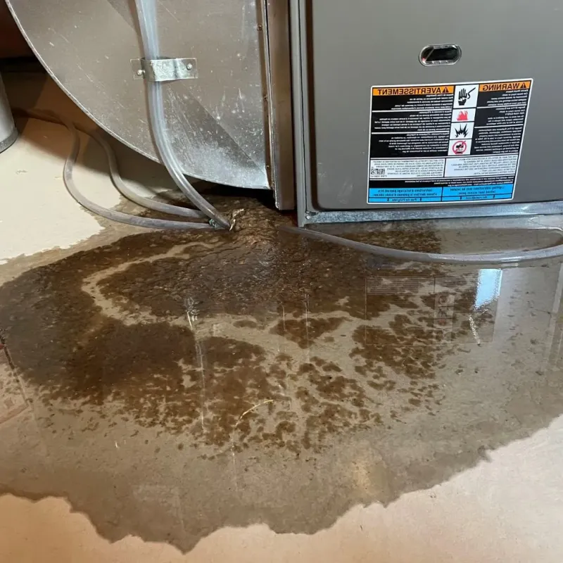 Pipe Burst and Leak Restoration in Kiel, WI